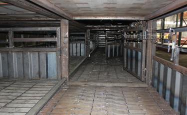 Livestock trailer interior compartment view